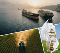 A strain on supply chains 