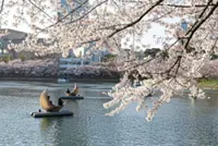 Xi confident in cross-strait unity