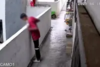 Teen goes viral after throwing brick from flat upper floor