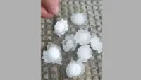 Hailstorm damages crops and property in Bhutan