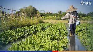 Farmers and small business owners will also be able to benefit from preferential-rate loans, as will people wishing to buy electric vehicles or install solar panels.