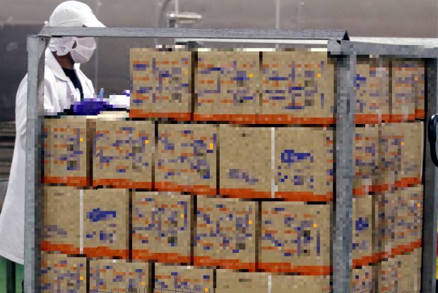 Joint operation busts illegal frozen food syndicate in Johor