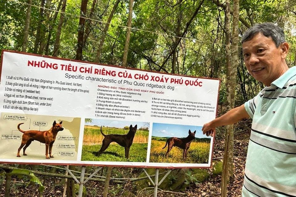 Le Quoc Tuan is the owner-founder of Thanh Nga Dog Farm on Phu Quoc island. - Photo: ST