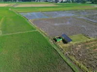 Indonesia on alert for prolonged dry season as El Nino nears