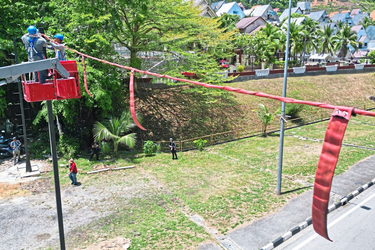 High above the traffic in Batu Ferringhi, a striking red “rope bridge” now stretches across the road – not for humans, but for one of Penang’s most elusive residents.