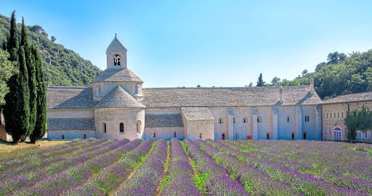 In France, lavender fields can be found in the Provence region. — Unsplash