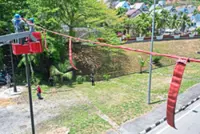 Bridging the wild in urban spaces