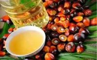 Palm oil: Not just for the frying pan