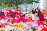 Spring blooms around the world: Where to see colourful flowers