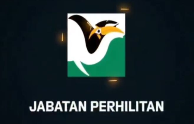 The tusk treatment process for an elephant named Kelat was carried out in accordance with veterinary procedures and based on clinical assessment with priority given to the animal’s welfare, according to Perhilitan.