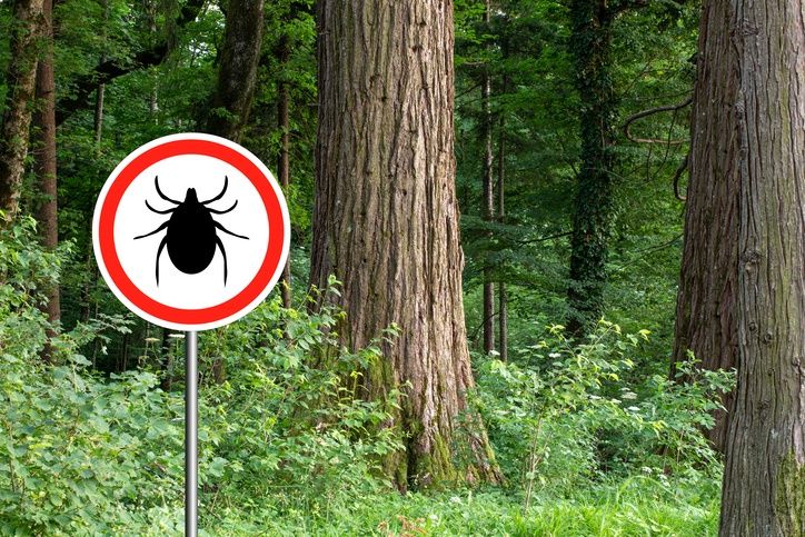 Monitoring is being conducted at 26 locations nationwide, including Jeju City and Inje, Gangwon Province, where tick populations are relatively dense.