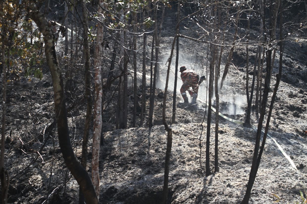 With the heat Malaysia has been experiencing – including some extreme weather days – come fires of all types in our wild lands.
