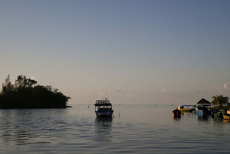 International tourist arrivals plunged 56% in February from one year prior. ⁠Both of Playa Larga's hotels are closed. Most of its tourist attractions are shuttered ⁠as well.