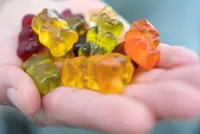 Scientists discover that excessive junk food can affect kids neurologically