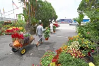 Fair relocation plan, constructive dialogue needed in relation to Sg Buloh nurseries