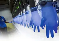 Glove counters set for bumpy ride amid conflict