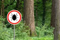 South Korea on alert against deadly ticks as peak season begins