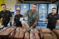 AKPS seizes seven containers of frozen chicken, duck products