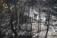 Ecowatch: It's only April and Malaysia is already burning up