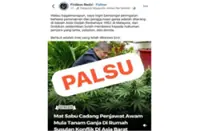 QuickCheck: Did Mat Sabu urge civil servants to grow weed at home?