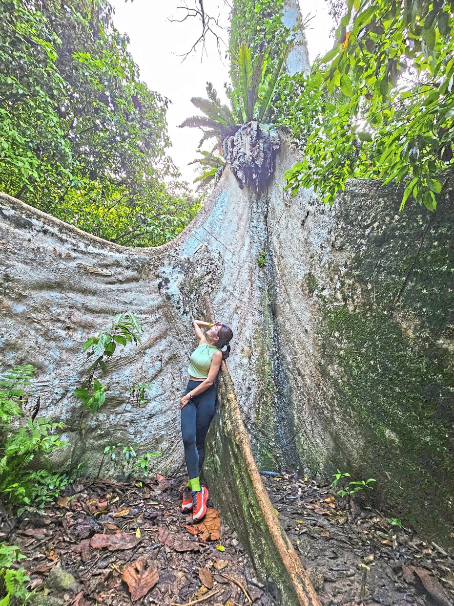 Hiker VJ Lau posing at the base of a giant ‘mengkundur’ tree in Cherok To’kun Forest Reserve (above left) and (above right) striking a Cupid pose at the ‘sky mirror’ in Gertak Sanggul.