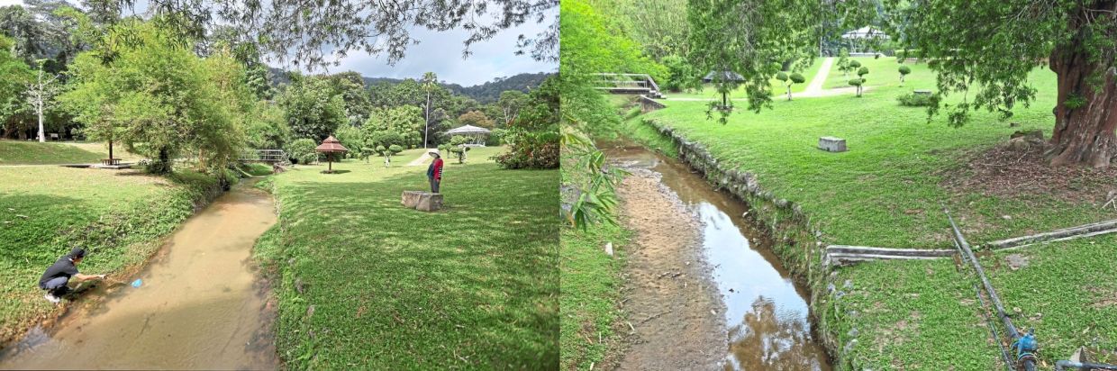 Drying up: (Left) A filepic of people relaxing around the Waterfall River in the Penang Botanic Gardens last year; and (right) how the river looks today following weeks of extreme heat.