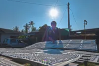 Making ‘bedak sejuk’ while the sun shines