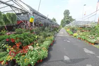 Sungai Buloh operators still hoping for reprieve