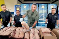 Illegal e-waste shipped out