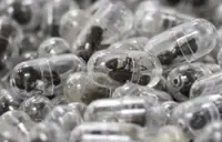 Chinese man jailed after trying to smuggle 2,200 ants out of Kenya in his luggage