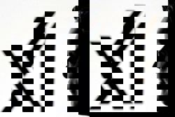 NAACP sues Musk's xAI, alleging illegal operation of gas turbines