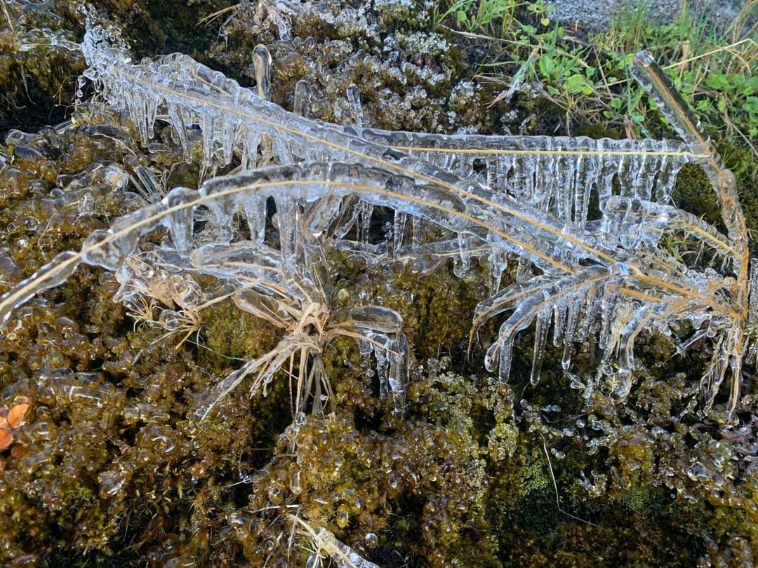 Sabah Parks stated that such ice formation was a natural occurrence that occurred from time to time on the high areas of Mount Kinabalu during bright, dry weather and low temperatures from night to early morning.
