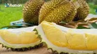 Durian shipments from South-East Asia hit peak season as China-Laos Railway drives tropical fruit boom