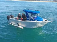 Shark nets at Australian beaches spark controversy