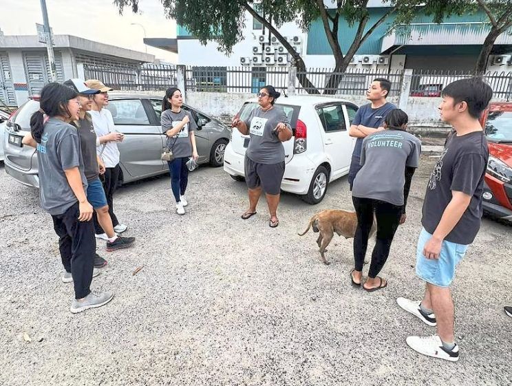 Helena (centre) with some volunteers briefing before a Trap-Neuter-Vaccinate-Return/Rescue-Manage session.