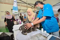 Subsidised programme neuters 160 cats, dogs in Shah Alam