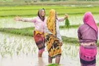 Women farmers could unlock the future of food security in Asia and the Pacific: Opinion