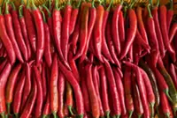 Economy Ministry's agri scheme generates RM22mil in revenue