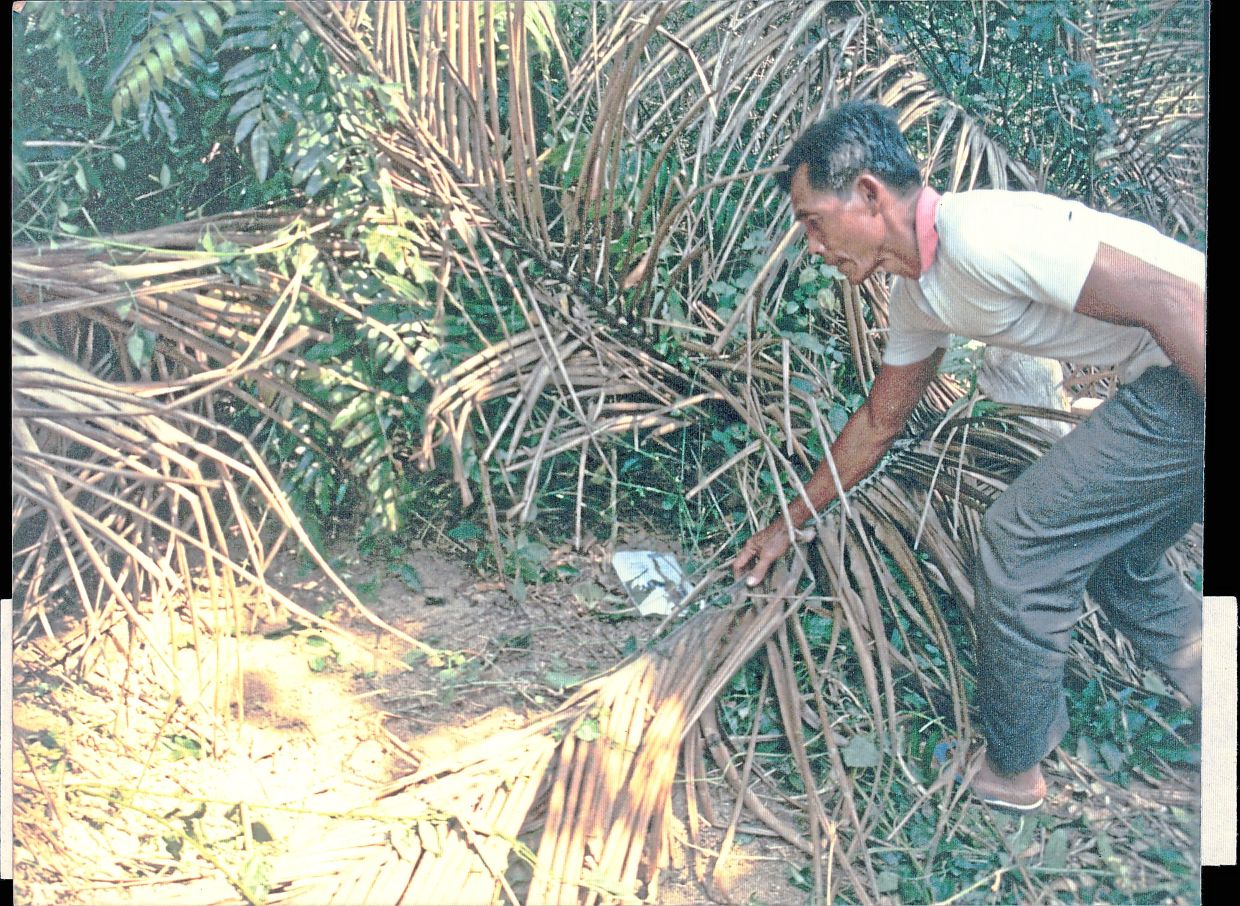 The spot where human remains were found near Mona’s house in this photo taken in 1993. — The Star