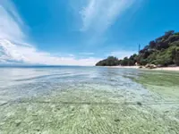 Local haunts for some ‘vitamin sea’