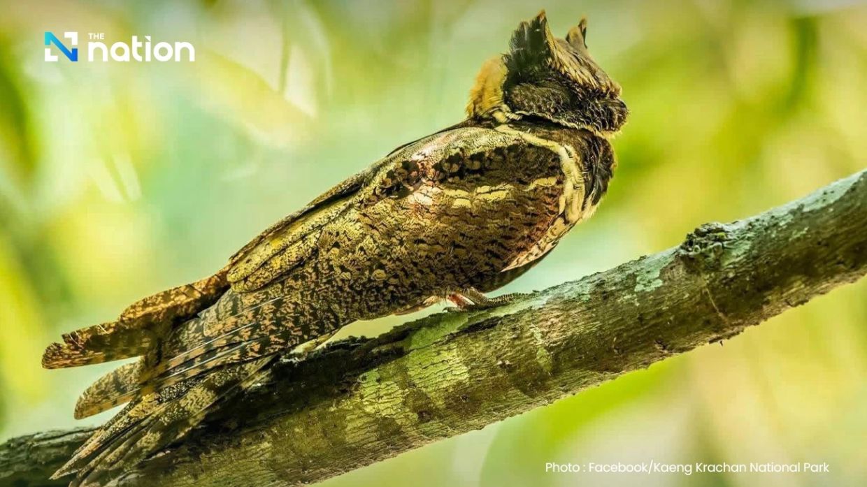 - Photo: The Nation/ANN