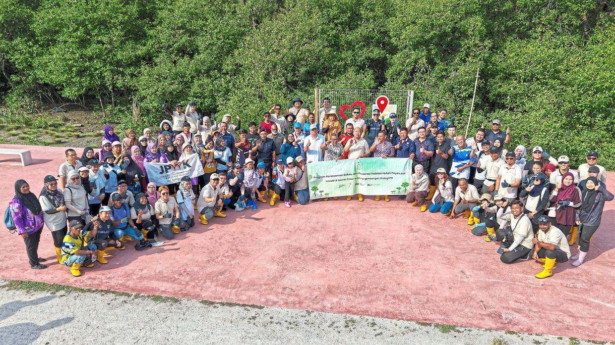 Participants of the mangrove planting and coastal peat swamp forest habitat restoration programme at Kuala Haji Ibrahim in Nibong Tebal, Seberang Perai.