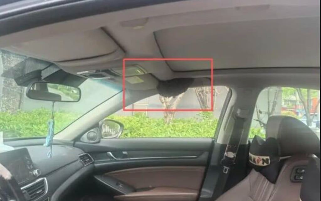 The bees’ honeycomb attached to the interior of the car above the passenger seat. -- Photo: Weibo