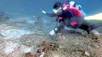 Ghost nets kill marine life