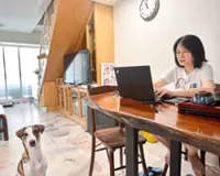 The essence of working from home