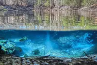 Bringing balance back to a failed Florida canal project abandoned for decades
