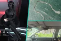 Quirky China: Doctor removes worm from woman’s brain, under-fire gamer dyes her skin black