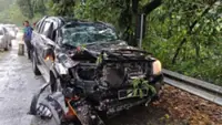 Man escapes unhurt after tree crushes truck