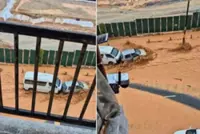 NGO demands accountability after 'river of mud' hits Cameron Highlands