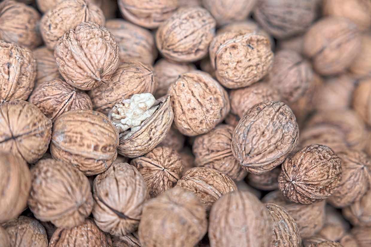 Walnuts grow all the way up to the Arctic Circle, but they thrive at around 25°C, farmers say.